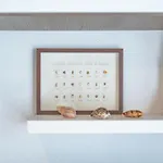 Stella Marina House - A Short Walk From The Sea Semesterbostad *